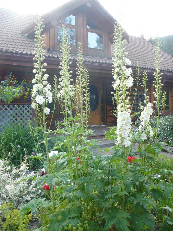 Hitching Post Resort Kelowna Kamer foto