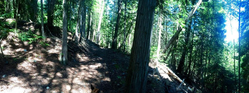 Hitching Post Resort Kelowna Buitenkant foto