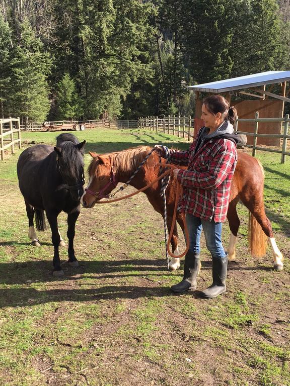 Hitching Post Resort Kelowna Buitenkant foto